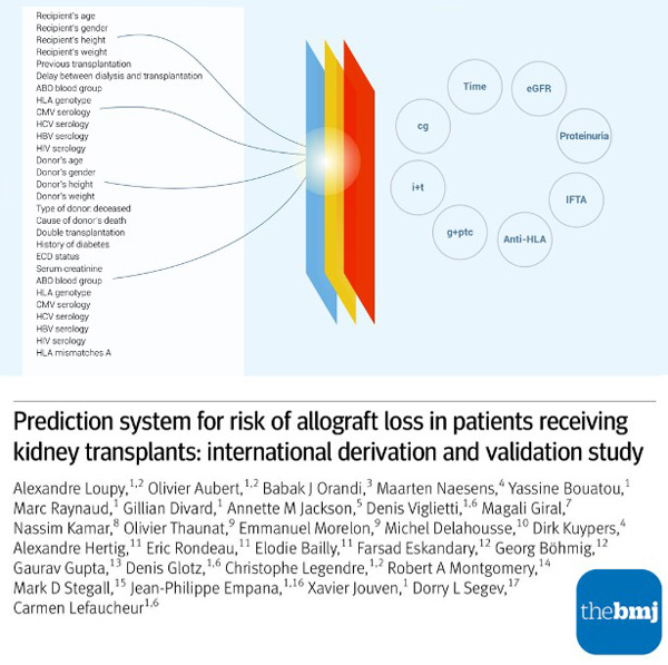 Loupy ibox The BMJ article