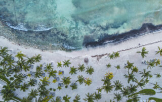 drone view of tropical beach with palm trees and turquoise waters