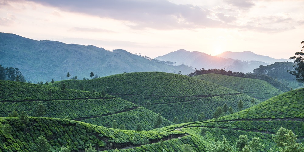 Living at higher altitudes in India linked to increased risk of childhood stunting